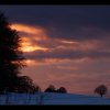 20150224_0010